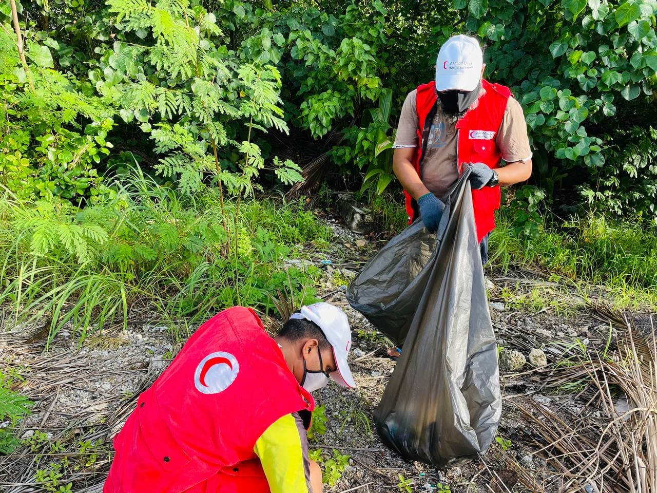 Volunteers in Kulhudhuffushi City continue to work towards protecting mangrove ecosystems.