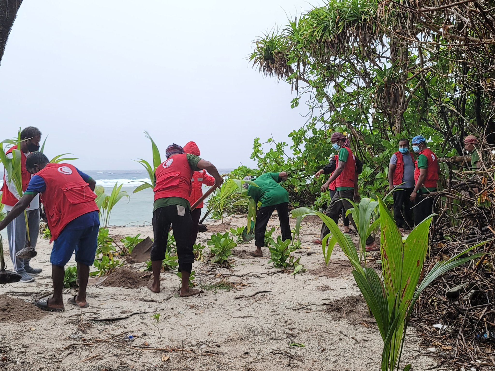 Volunteers in Addu City have been conducting tree planting actvities to replenish coastal vegetation, which is an invaluable part of our ecosystems. 
